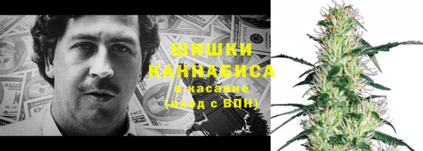 сатива Гусь-Хрустальный