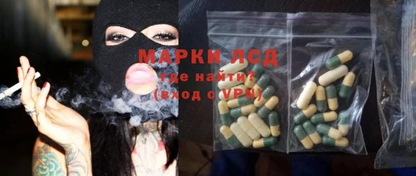 сатива Гусь-Хрустальный