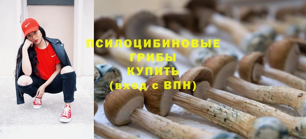 гашиш Гусев