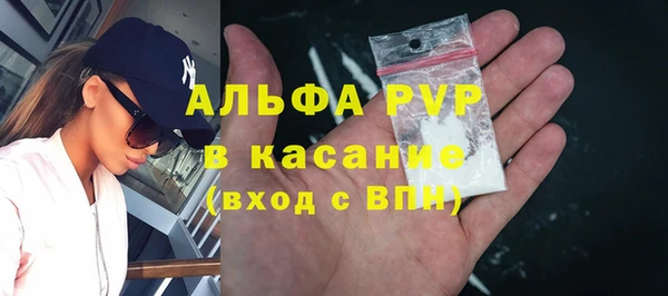 сатива Гусь-Хрустальный
