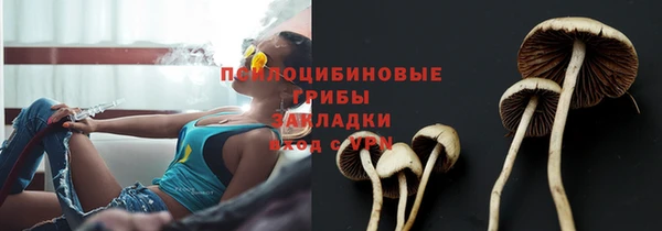 сатива Гусь-Хрустальный