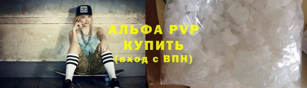сатива Гусь-Хрустальный