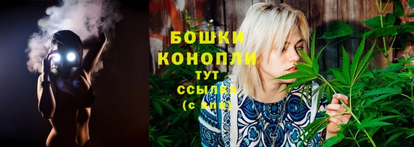 сатива Гусь-Хрустальный