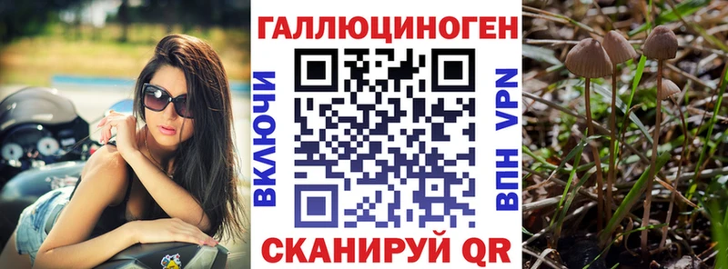 Псилоцибиновые грибы GOLDEN TEACHER  Михайловка 